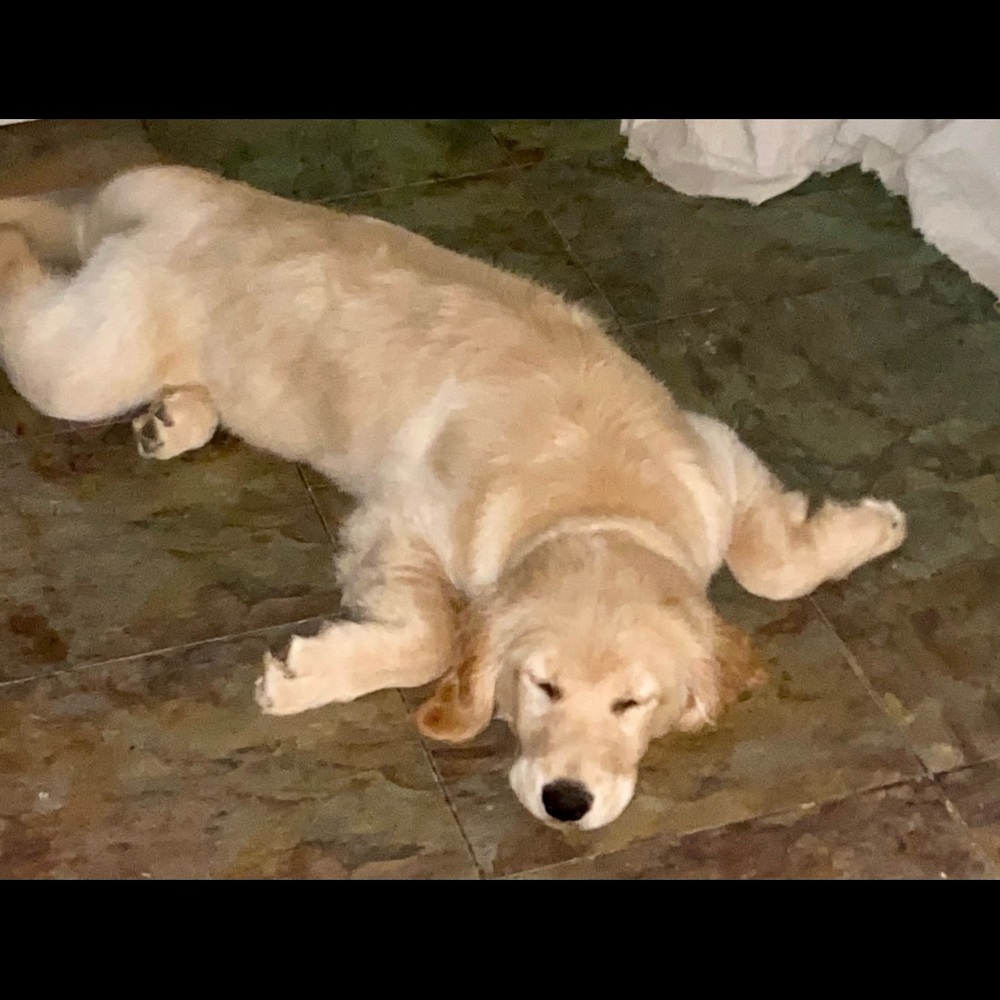 Meet your Posher, Kelly